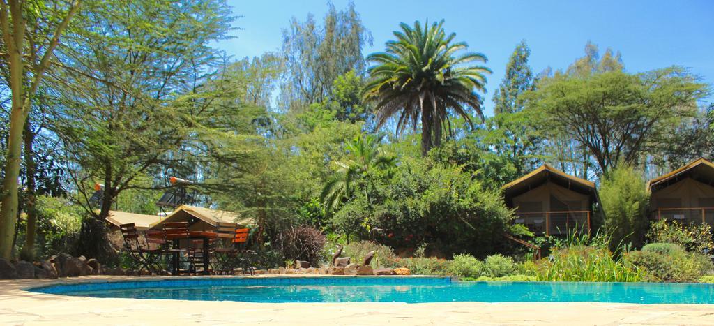 Wildebeest Eco Camp Hotel Nairobi Buitenkant foto