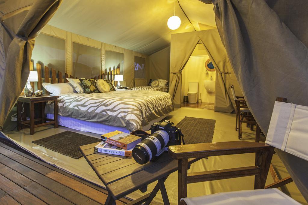 Wildebeest Eco Camp Hotel Nairobi Kamer foto