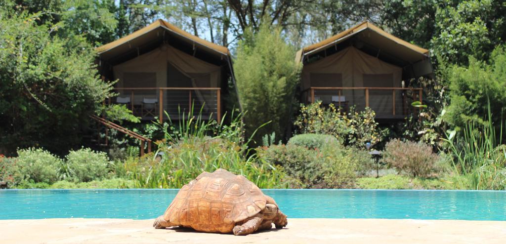 Wildebeest Eco Camp Hotel Nairobi Buitenkant foto