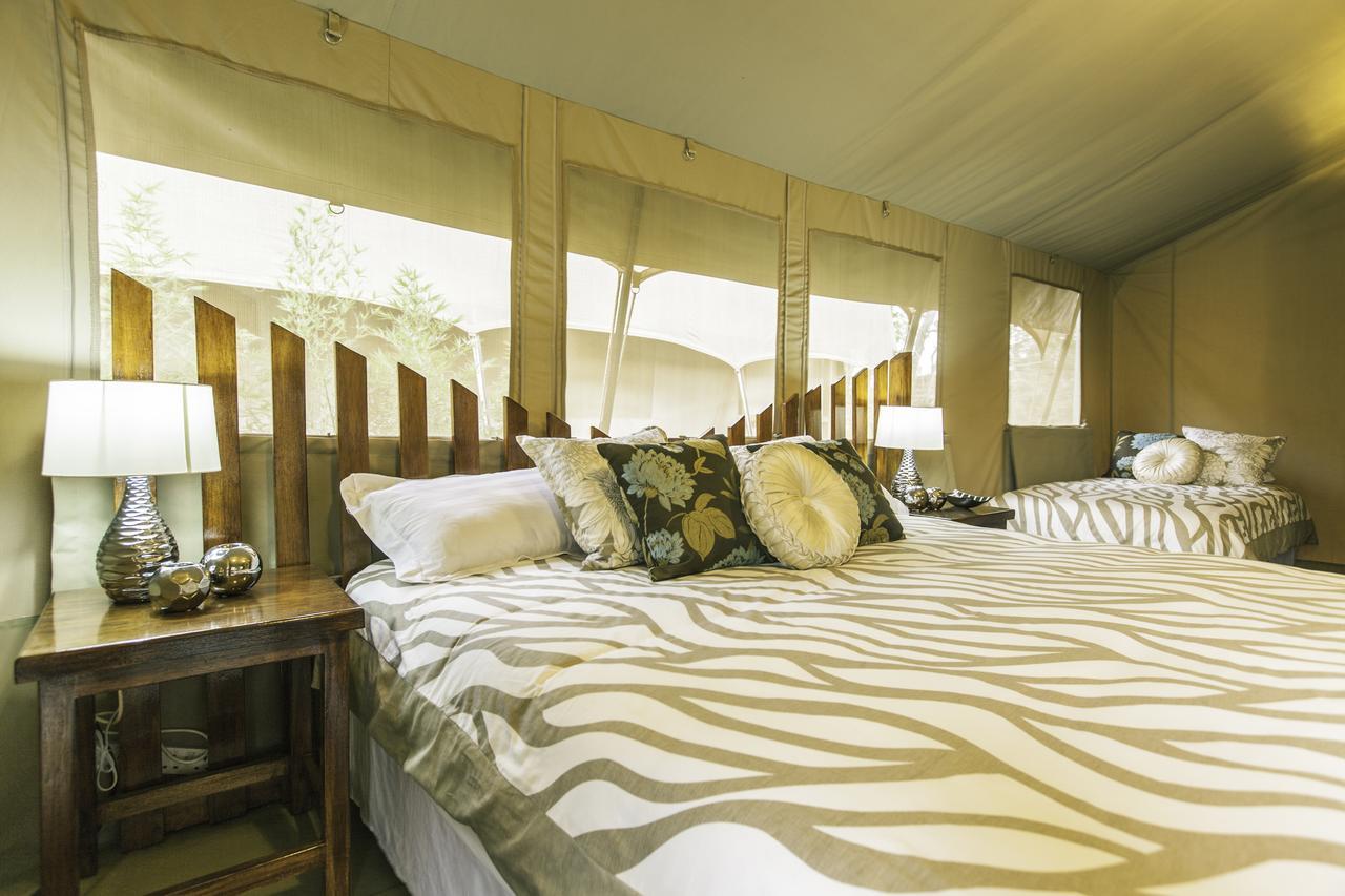 Wildebeest Eco Camp Hotel Nairobi Kamer foto